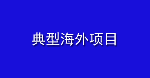 典型海外項目